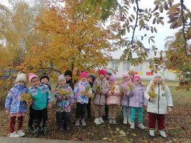 Прогулки в детском саду Прогулки в детском саду.